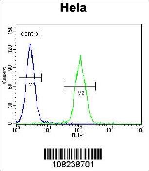 LMTK3 Antibody