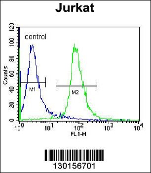 RSBN1 Antibody