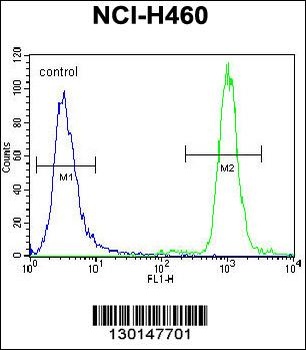 ZNF28 Antibody