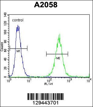 GAB4 Antibody