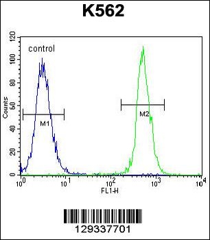 NUDT19 Antibody