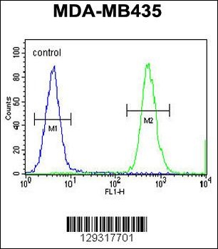 HNRNPCL1 Antibody