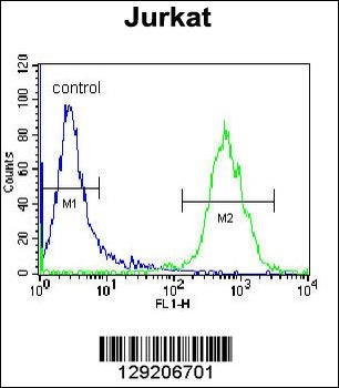 OR4N4 Antibody