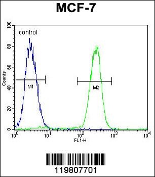 RACGAP1 Antibody