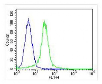 JMJD2C Antibody
