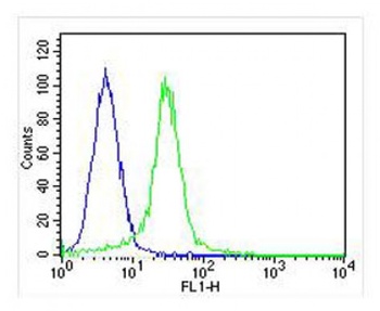 KDM4C Antibody