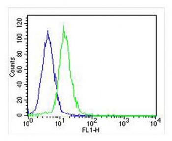 JMJD2C Antibody