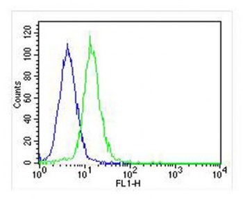 KDM4C Antibody