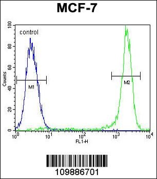 KSR2 Antibody