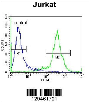 ZNF648 Antibody