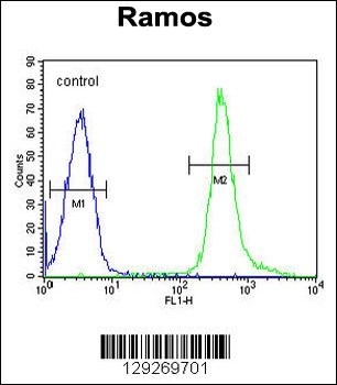 PNLDC1 Antibody