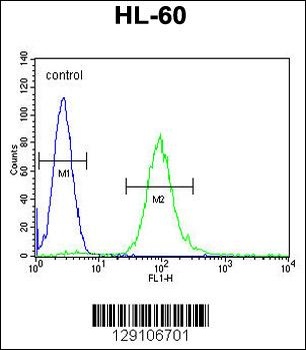 METTL10 Antibody
