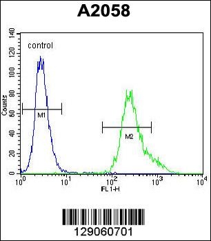 UBXN2A Antibody