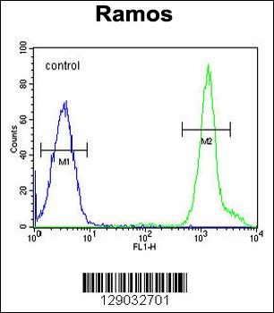 NIPAL1 Antibody