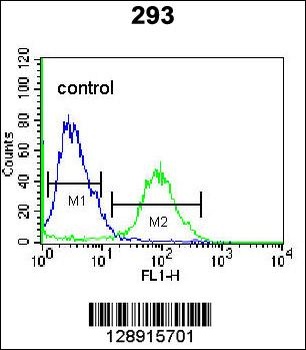 OR4F15 Antibody