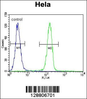 SELV Antibody