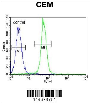 ARL5B Antibody