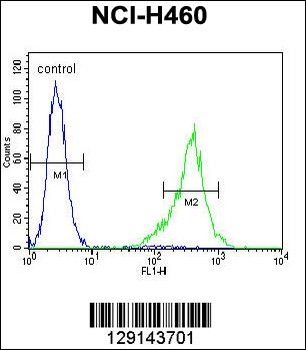 TSNARE1 Antibody