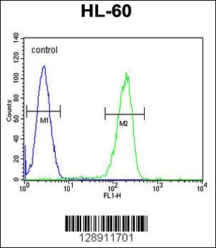 OR2F2 Antibody