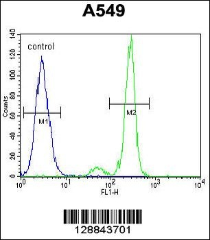 TNFRSF1A Antibody