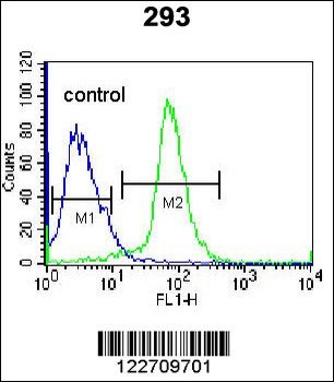 EPGN Antibody