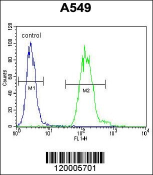 TDP2 Antibody