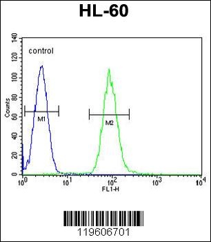 DPP3 Antibody