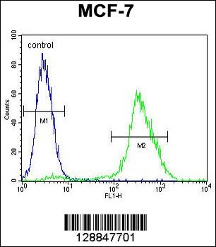 PMPCA Antibody