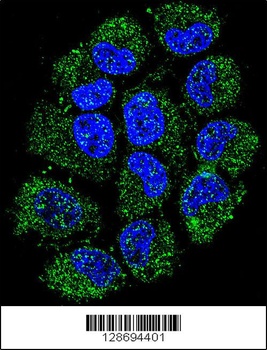 CL029 Antibody