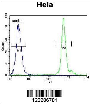 EMG1 Antibody