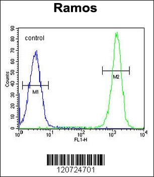 ETFA Antibody