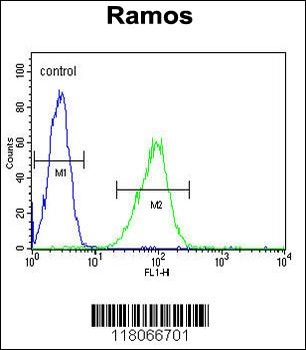 HIP1R Antibody