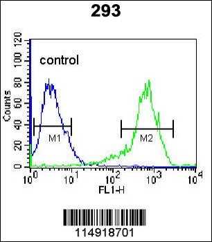 KARS Antibody