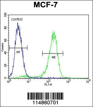 RARS Antibody