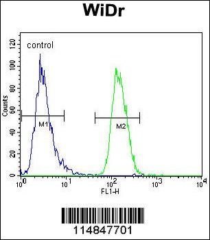 NARS Antibody