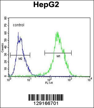 NR0B2 Antibody