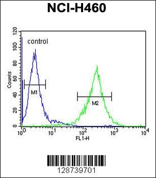 C2orf51 Antibody
