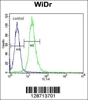 WDR5B Antibody