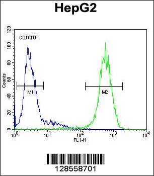 ICAM2 Antibody
