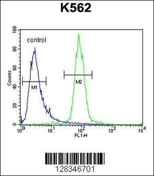 hCG_2024410 Antibody