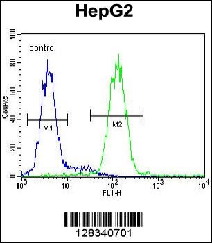CCDC17 Antibody