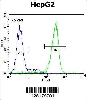 NUDT15 Antibody