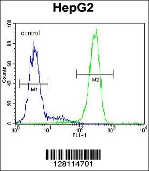 LRRC40 Antibody