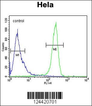 DTL Antibody