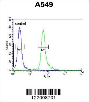 TAGAP Antibody