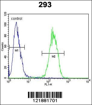 IL17F Antibody