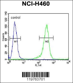 CD2BP2 Antibody