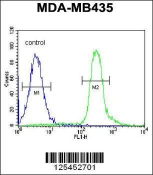 VPS52 Antibody