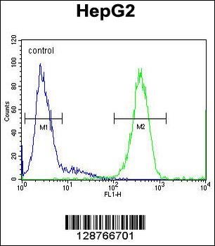SOHLH1 Antibody