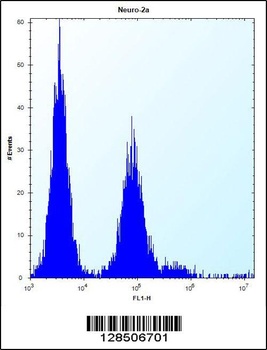 OR9Q1 Antibody